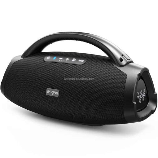 Portable Outdoor Speaker for Camping